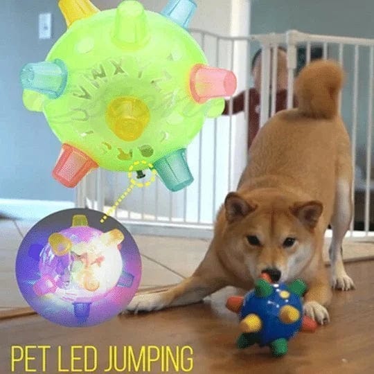 Jumping activation ball for dogs and cats-2
