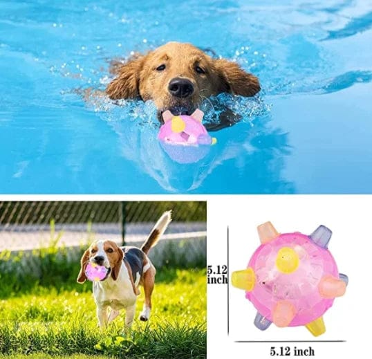 Jumping activation ball for dogs and cats-8