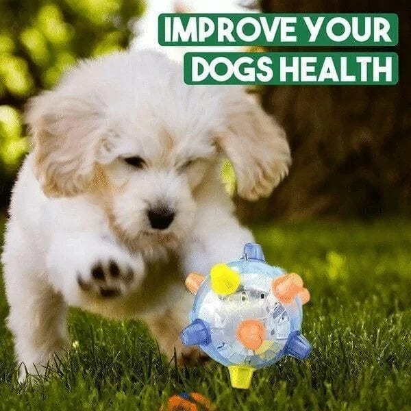 Jumping activation ball for dogs and cats-blue