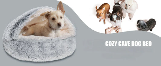 Why CozyNook Cave Beds Are Becoming Every Dog’s Favorite Spot to Sleep?