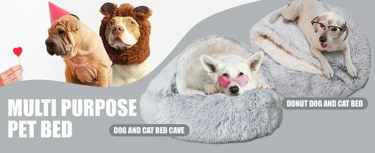 Dog Cave Beds 101: Why Every Burrowing Dog Needs One?