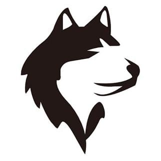 Express shipping-9.99